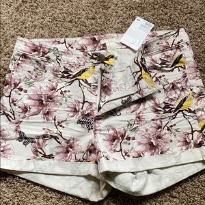 H&M shorts
